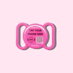 PawsID Tag